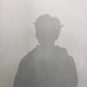 免费AV无码网站
