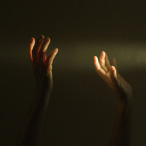 免费AV无码网站
