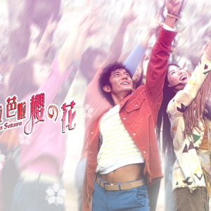 免费AV无码网站
