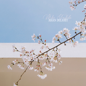 免费AV无码网站
