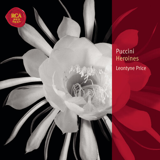 免费AV无码网站
